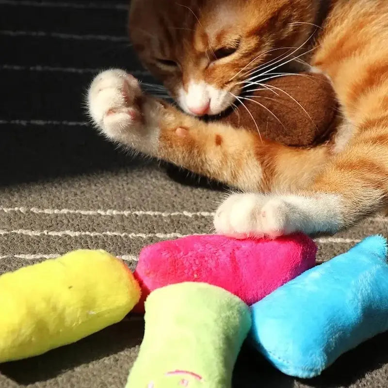 Doudou pour chat