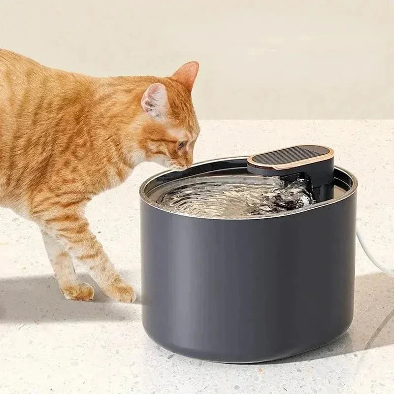 Fontaine à eau chat 3L - Autonomie optimale | MidFlow