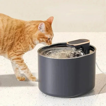 Fontaine à eau chat 3L - Autonomie optimale | MidFlow