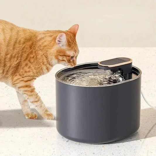 Fontaine à eau chat 3L - Autonomie optimale | MidFlow