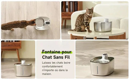 Fontaine à eau chat 4L