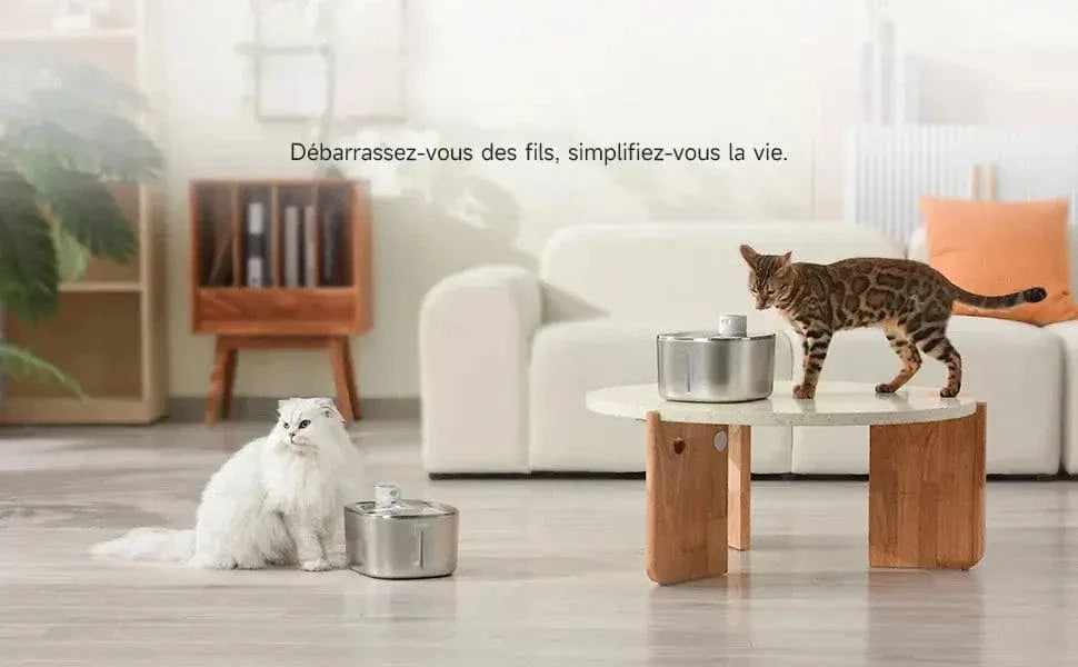 Fontaine à eau chat 4L