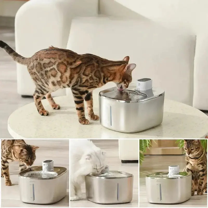 Fontaine à eau chat 4L
