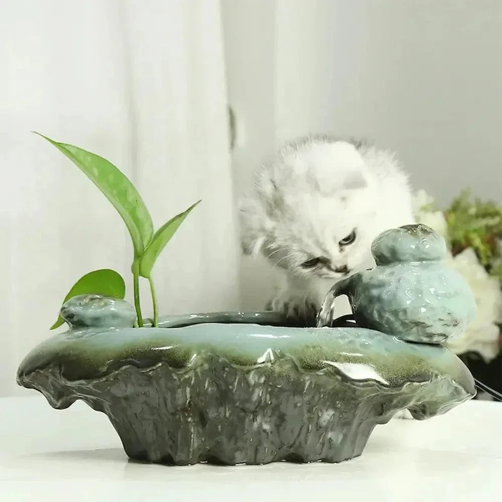 Fontaine à eau chat grenouille - Design ludique | FrogFlow