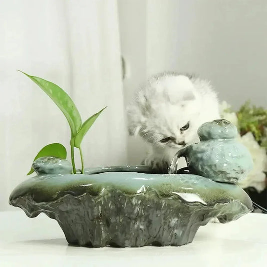Fontaine à eau chat grenouille - Design ludique | FrogFlow