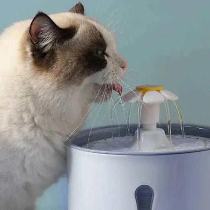 Fontaine à eau chat fleur
