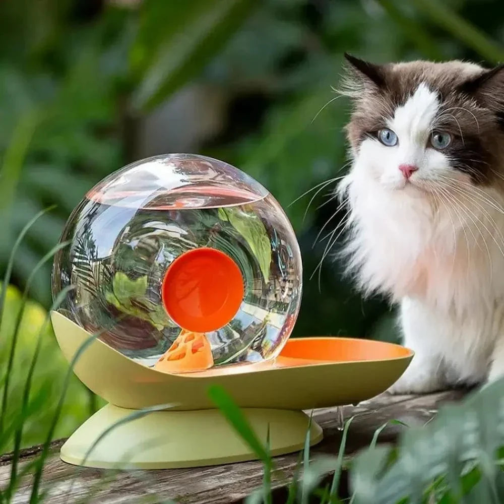 Fontaine à eau chat escargot – Design ludique | SnailFlow