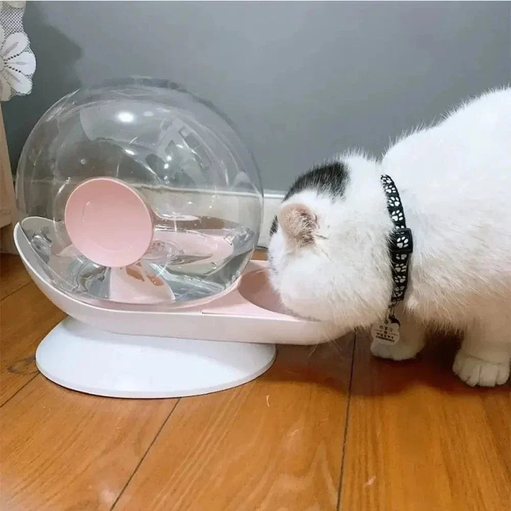 Fontaine à eau chat escargot