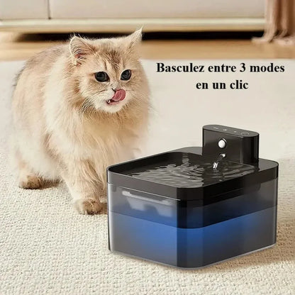 Fontaine à eau chat sans fil