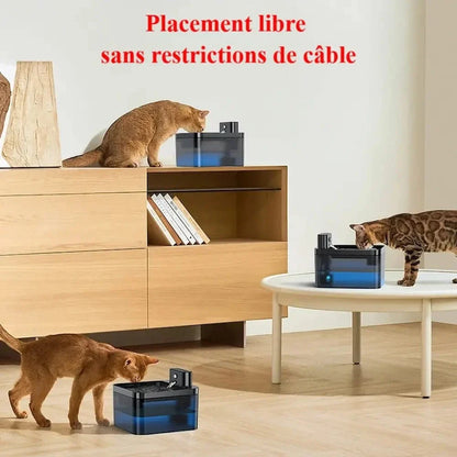 Fontaine à eau chat sans fil