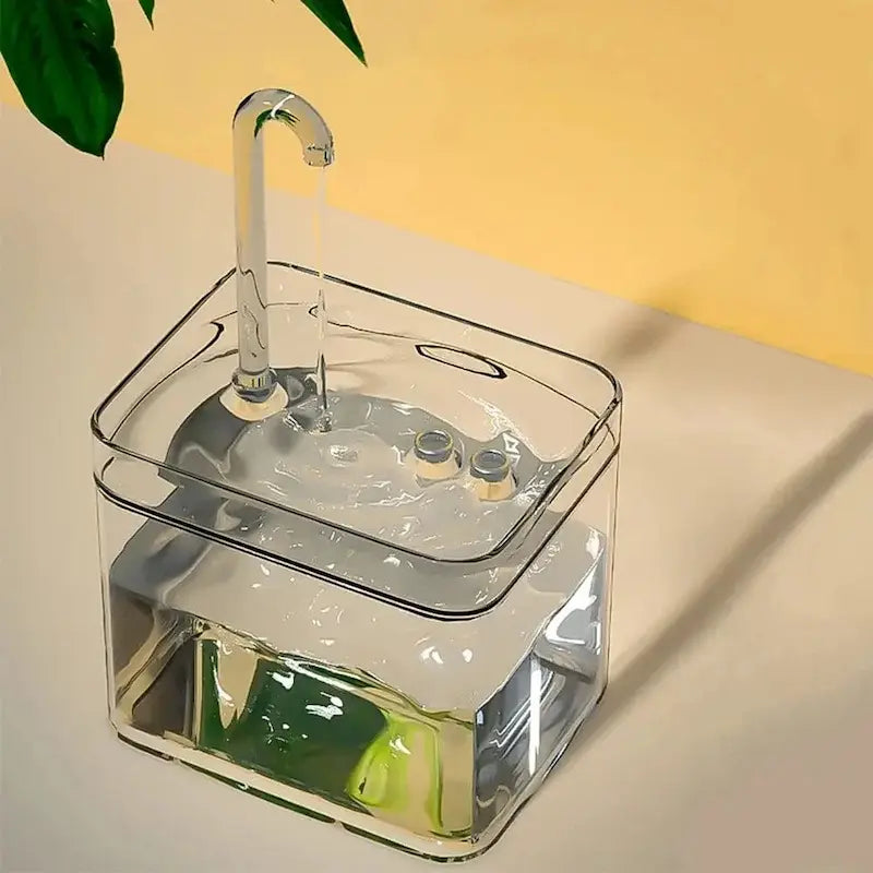 Fontaine à eau chat transparente – Niveau visible | ClearFlow