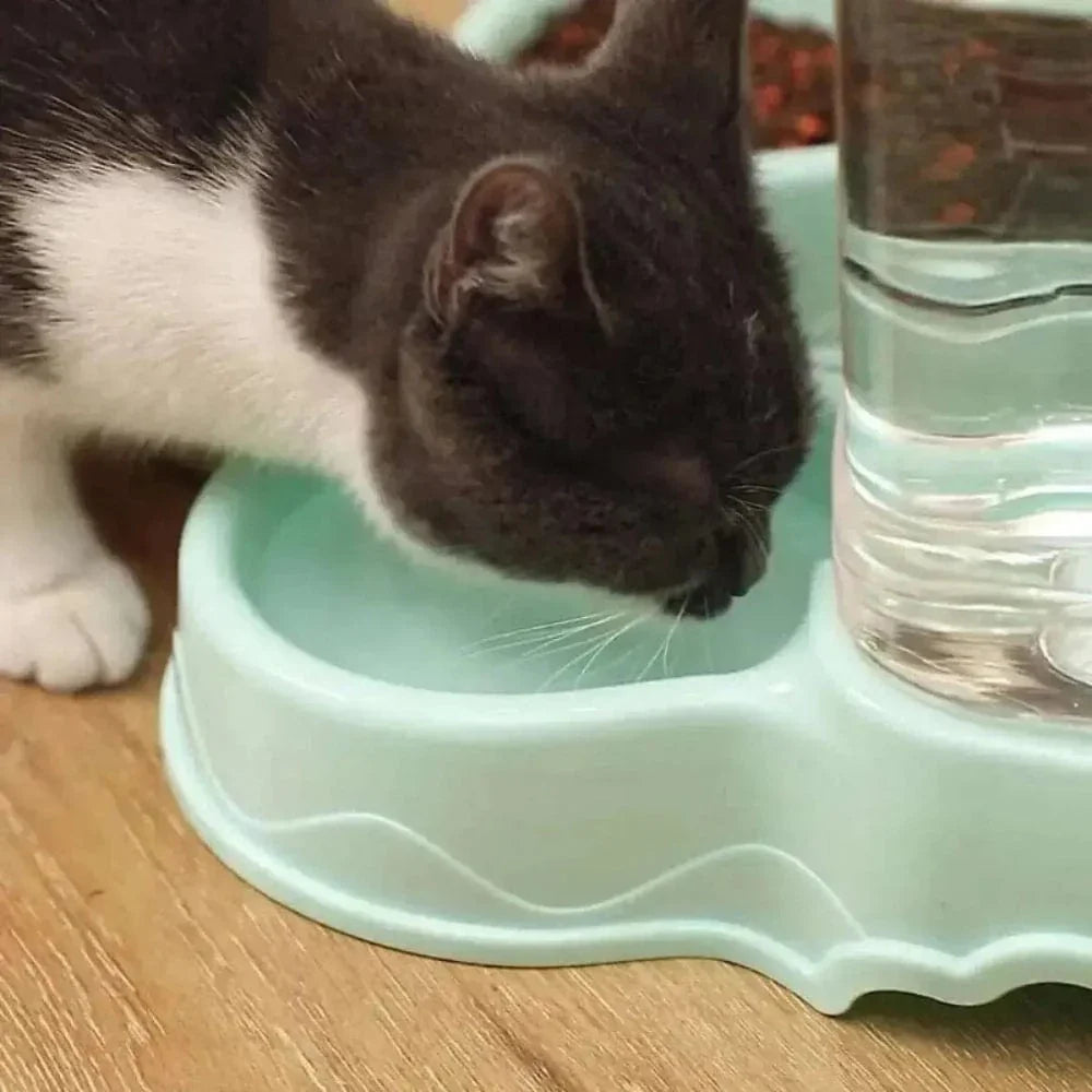 Gamelle chat distributeur automatique