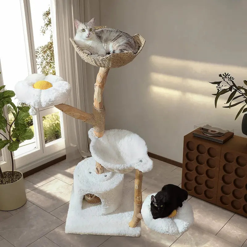 Grande tour arbre à chat