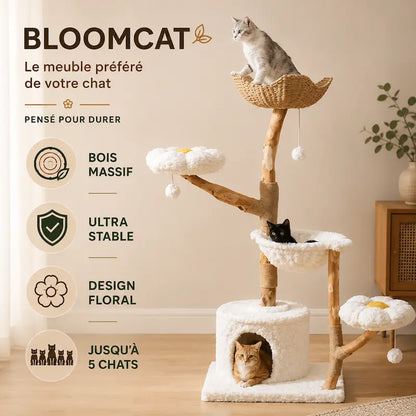 Grande tour arbre à chat