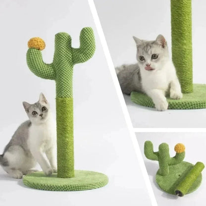 Griffoir chat cactus