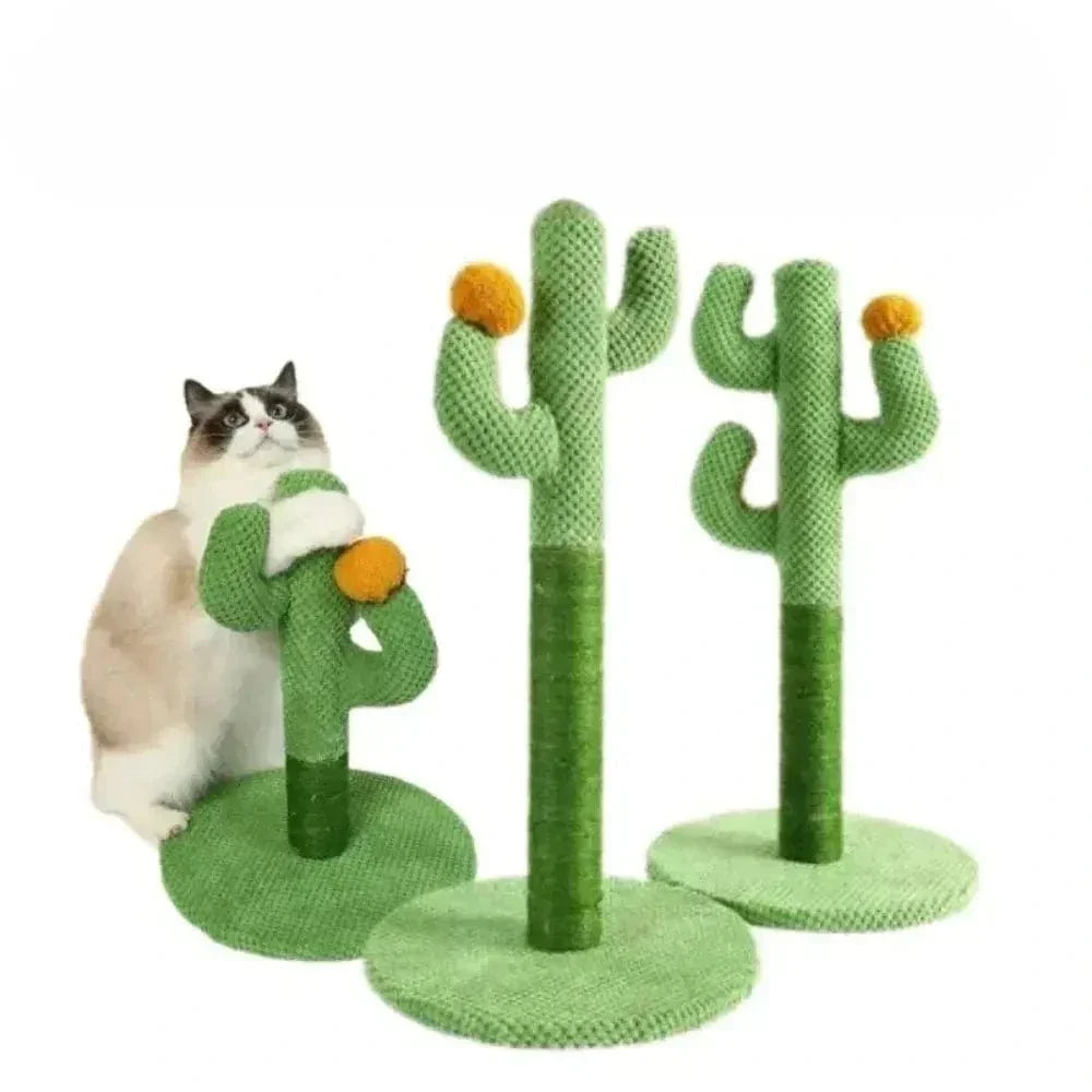 Griffoir chat cactus