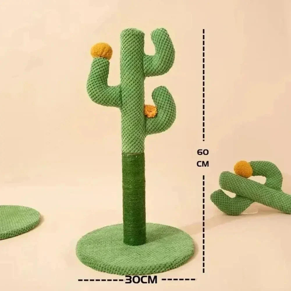 Griffoir chat cactus