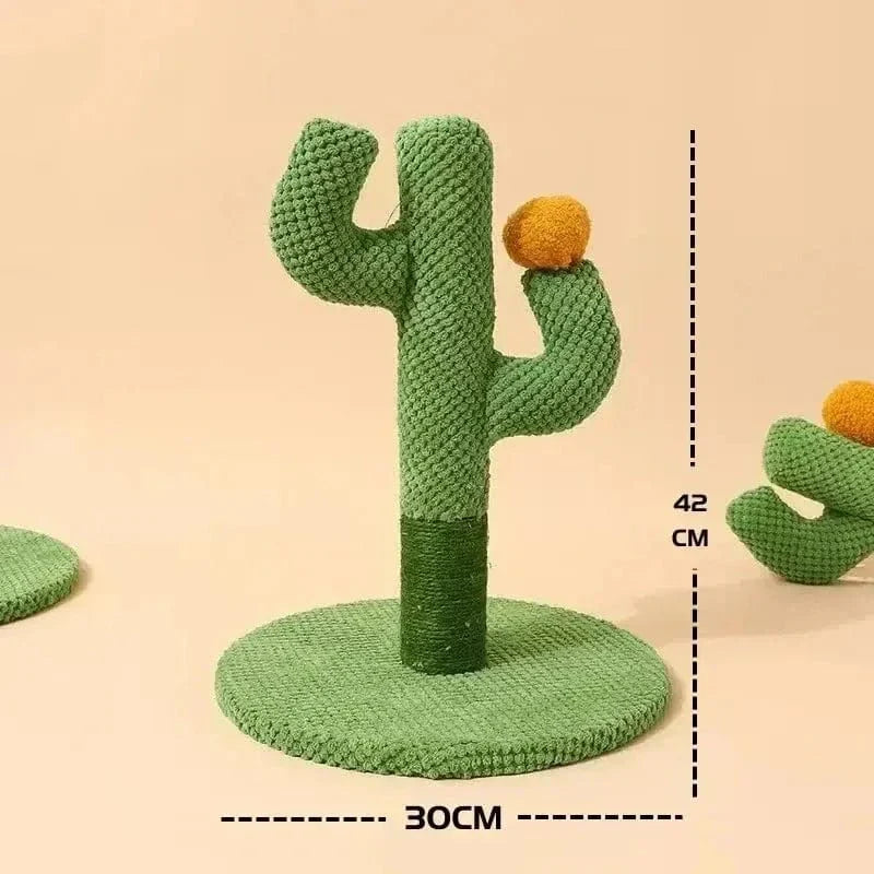 Griffoir chat cactus