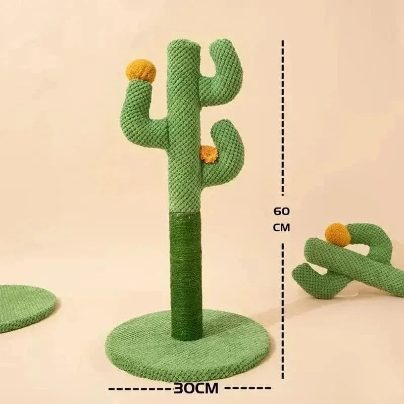 Griffoir chat cactus