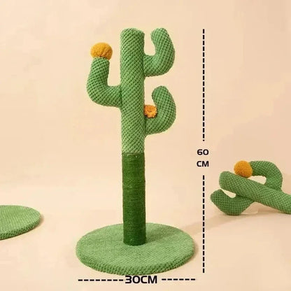 Griffoir chat cactus