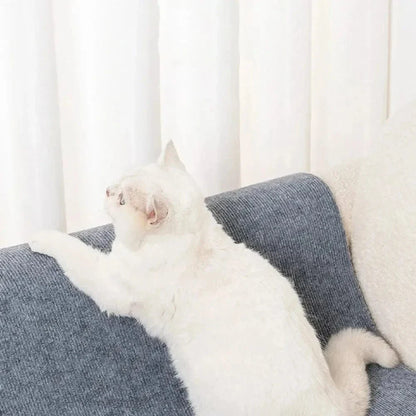 Griffoir chat canapé