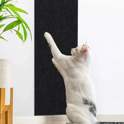 Griffoir chat canapé