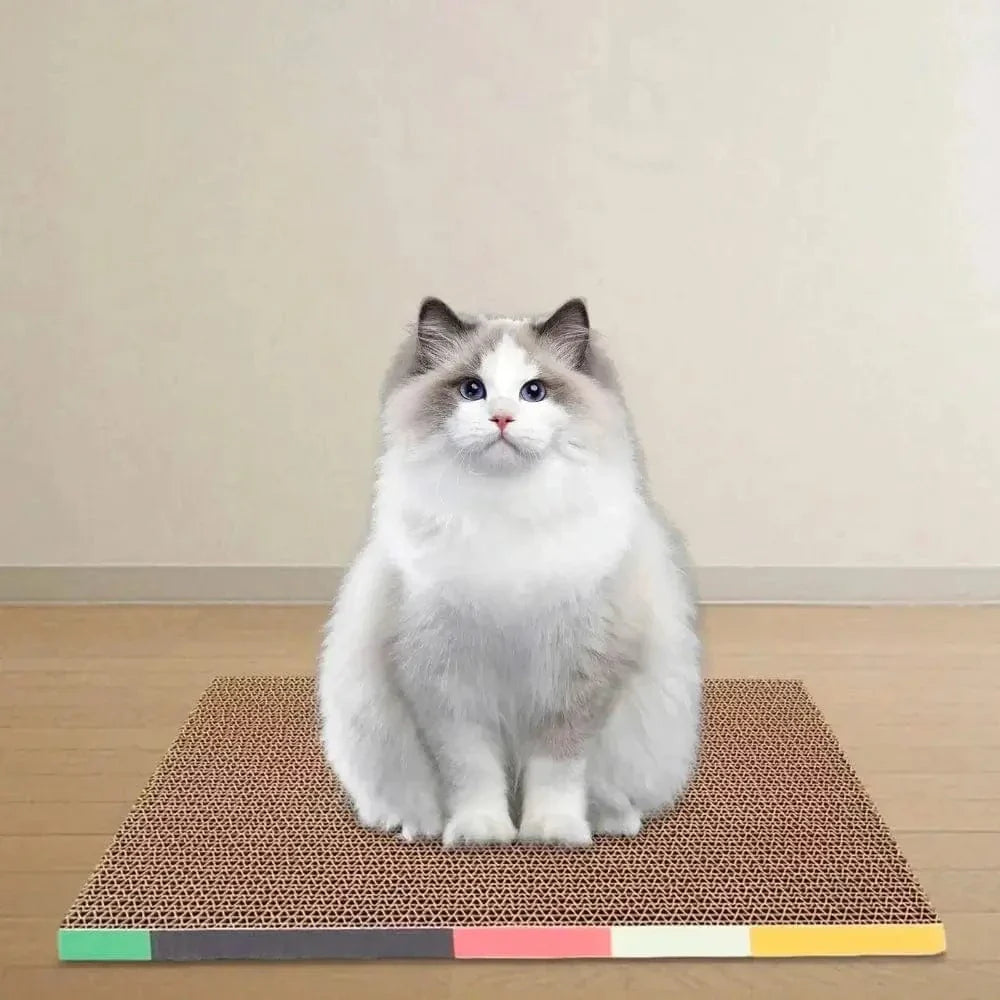 Griffoir chat en carton