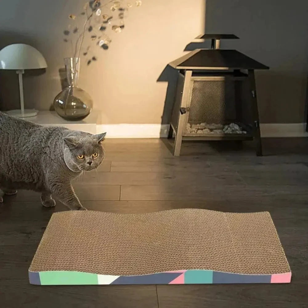 Griffoir chat en carton
