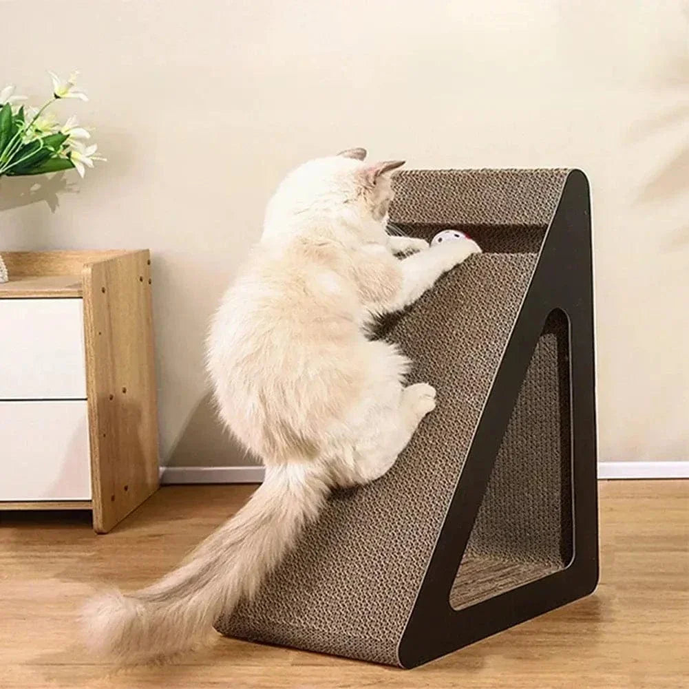 Griffoir chat triangle