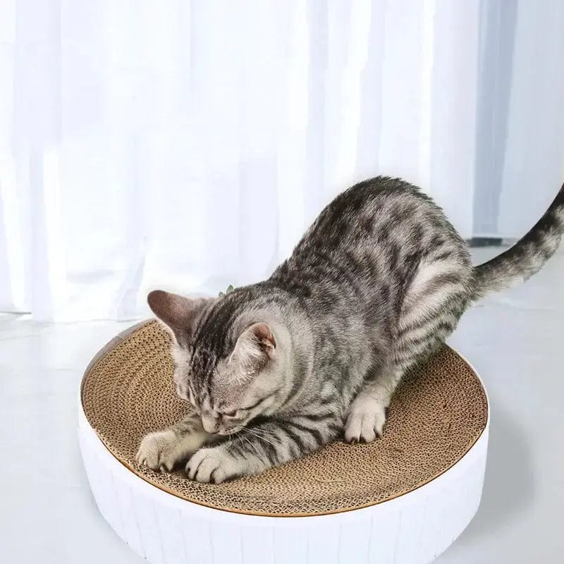 Griffoir rond chat