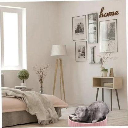 Griffoir rond chat