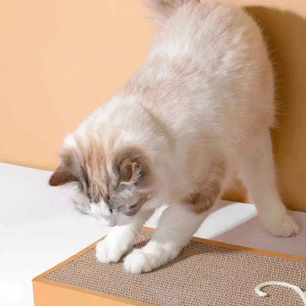 Griffoir chat forme souris