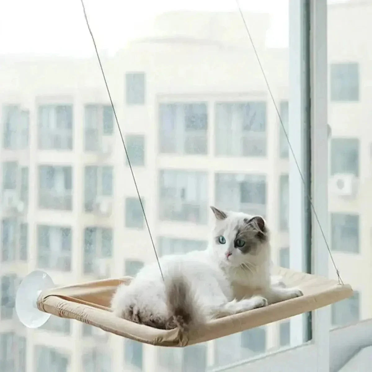 Hamac de fenêtre pour chat - Vue extérieure | WindowCat