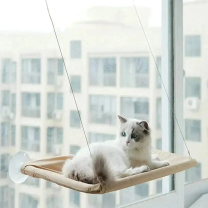 Hamac de fenêtre pour chat - Vue extérieure | WindowCat