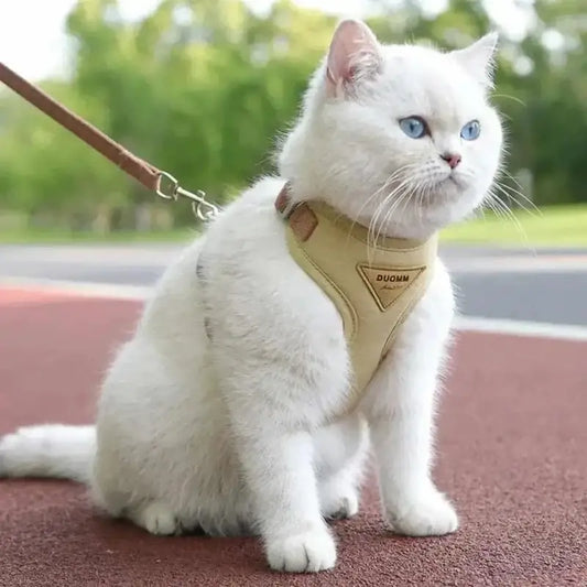 Harnais chat Duomm - Ajustable et anti-fugue