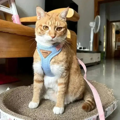 Harnais chat Duomm