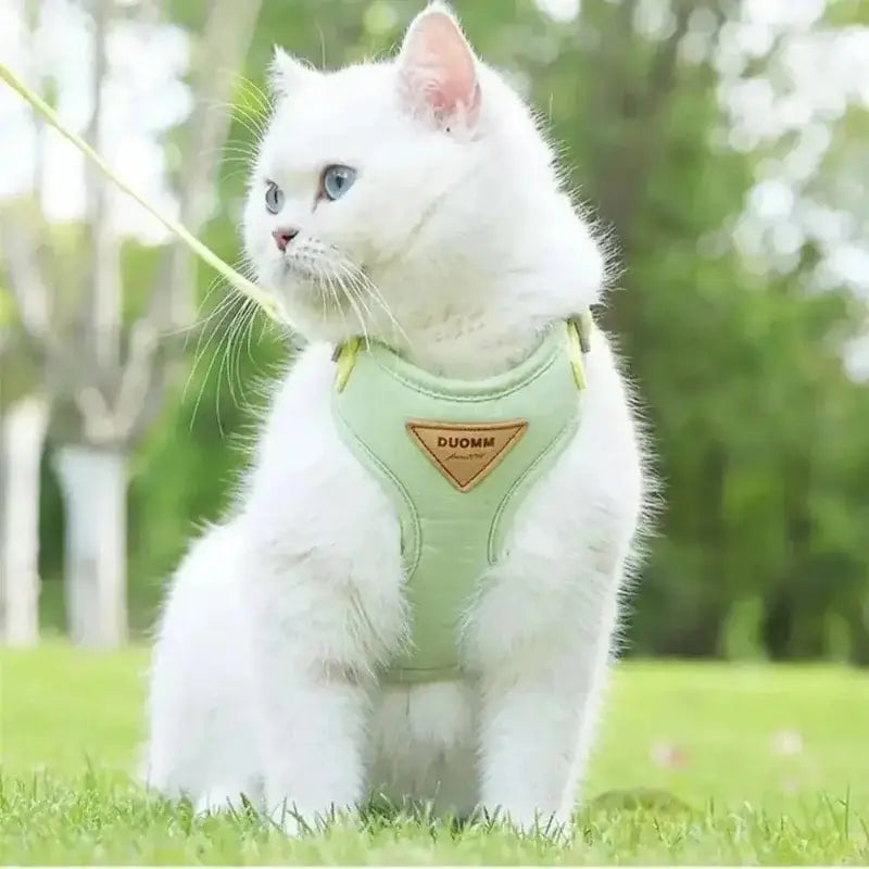 Harnais chat Duomm
