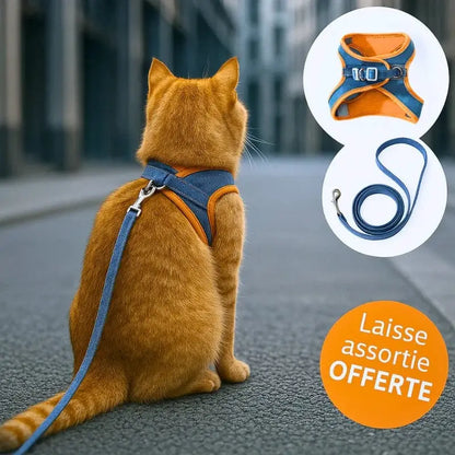 Harnais chat anti-fugue - Sécurité renforcée | FeliWay