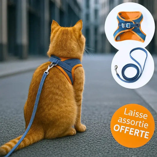 Harnais chat anti-fugue - Sécurité renforcée | FeliWay