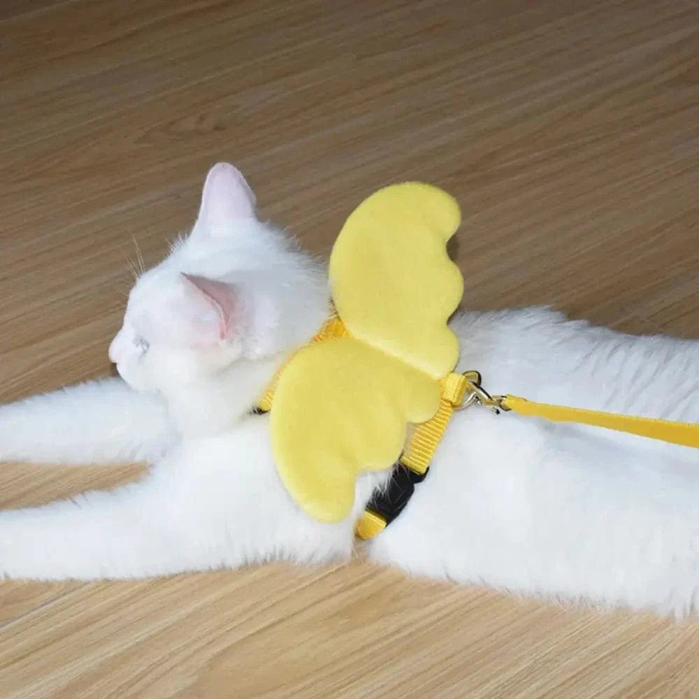 Harnais chat avec ailes