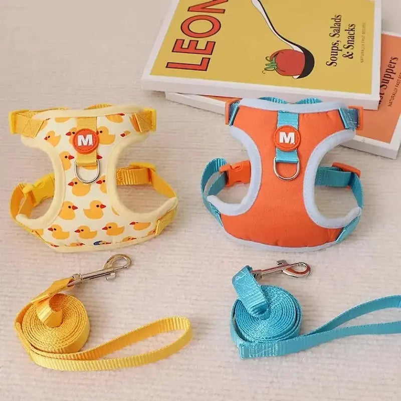 Harnais chaton 3 mois - Apprentissage facile | KittenGo