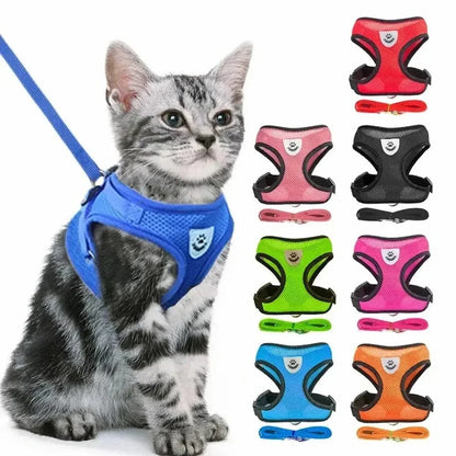 Harnais réfléchissant chat - Visibilité nuit | GlowWalk