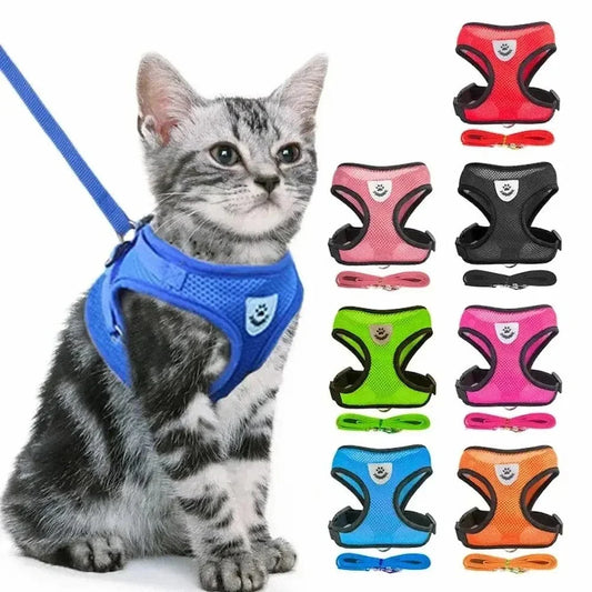 Harnais réfléchissant chat - Visibilité nuit | GlowWalk