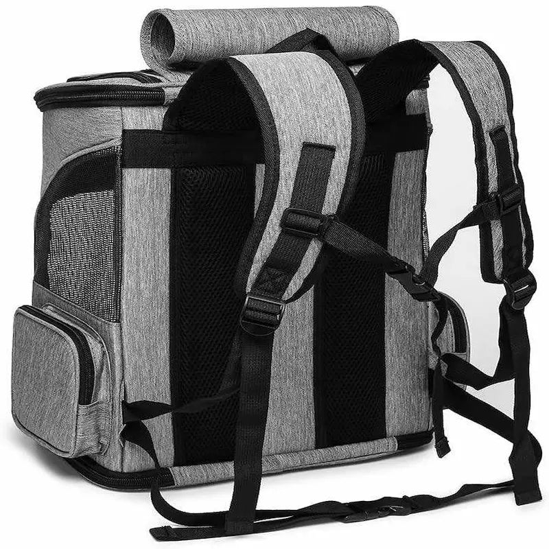 Sac à dos pour chat randonnée