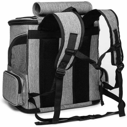 Sac à dos pour chat randonnée