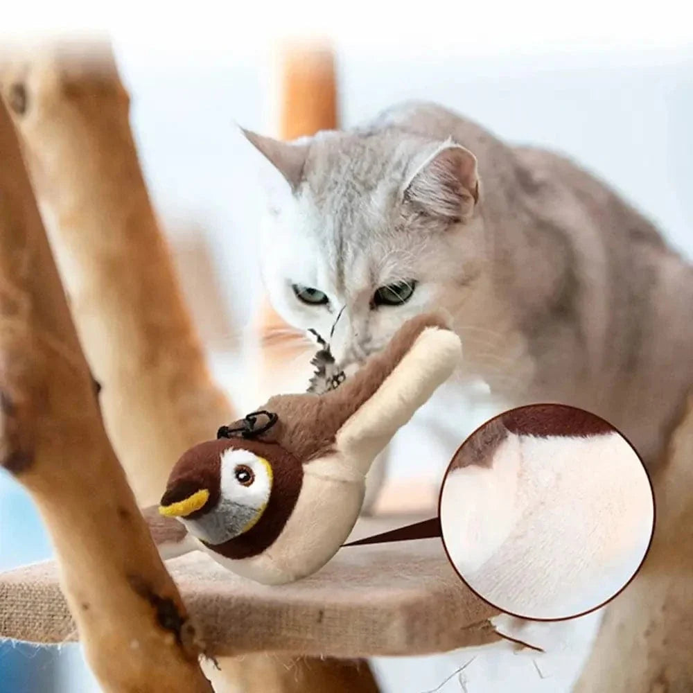 Oiseau volant pour chat