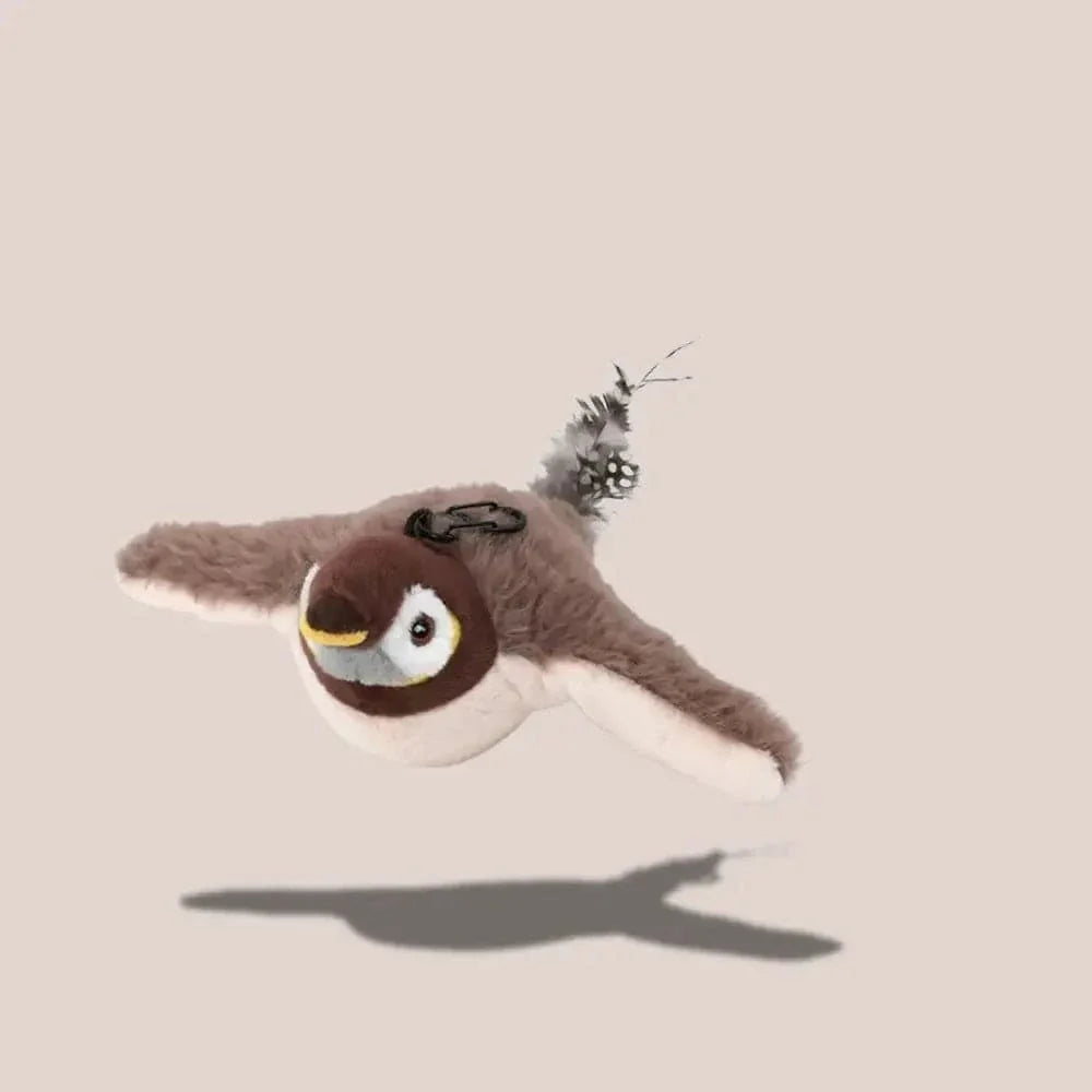 Oiseau volant pour chat