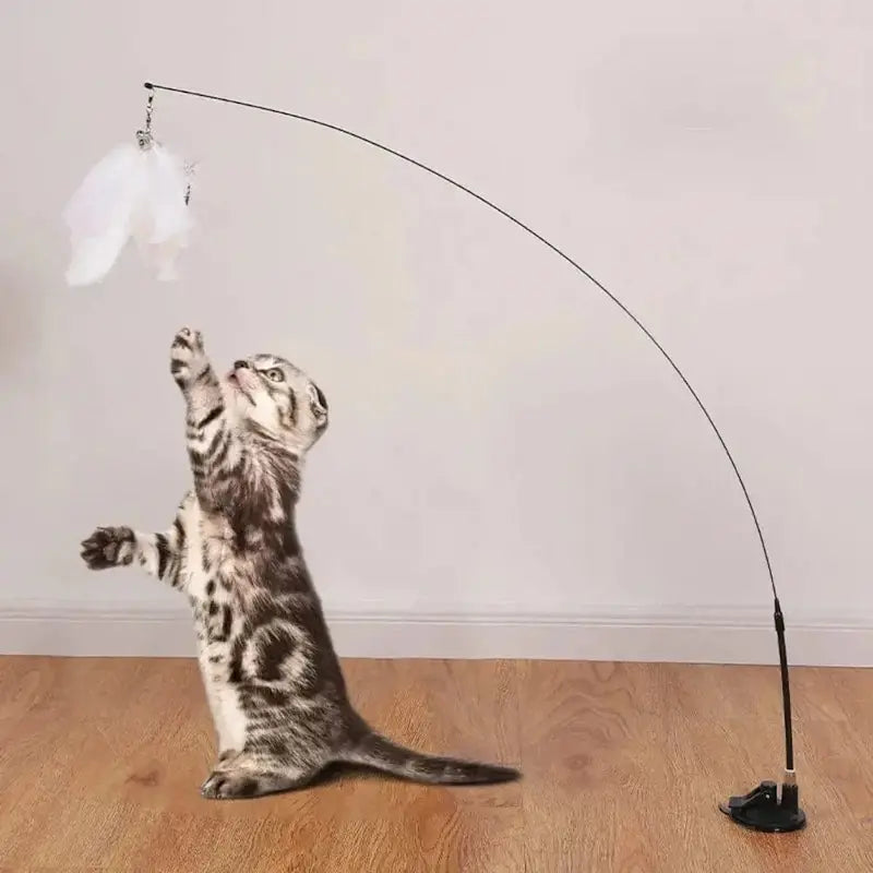 Jouet pour chat plume à ventouse - Amusement garanti | PlumeStick