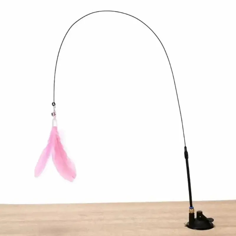 Jouet pour chat plume à ventouse