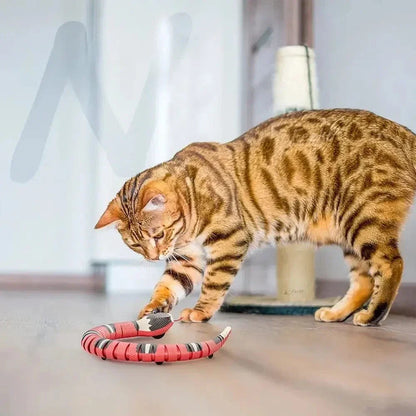 Jouet serpent pour chat